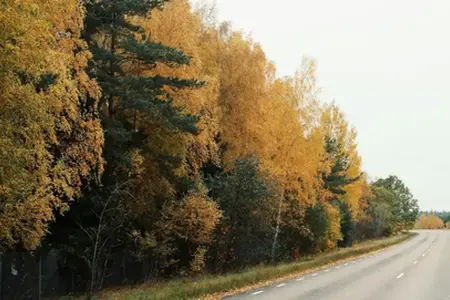 Velika obnova autoputa D6 u okolini Kladna završena je sa zakašnjenjem.