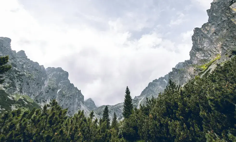 Autoputevi Slovačke i njihove dostupne destinacije